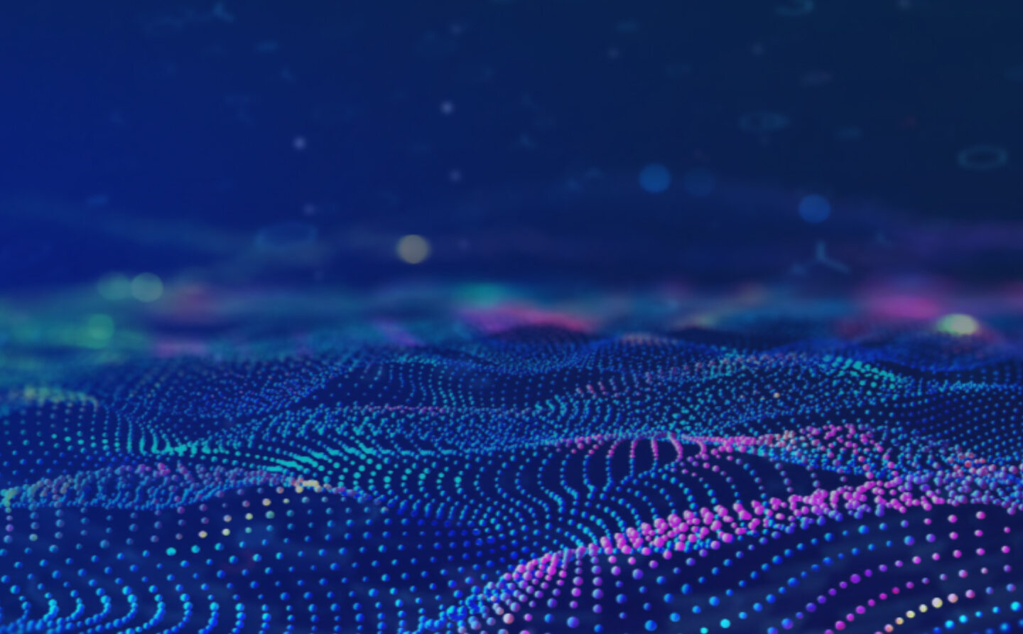 banner-image